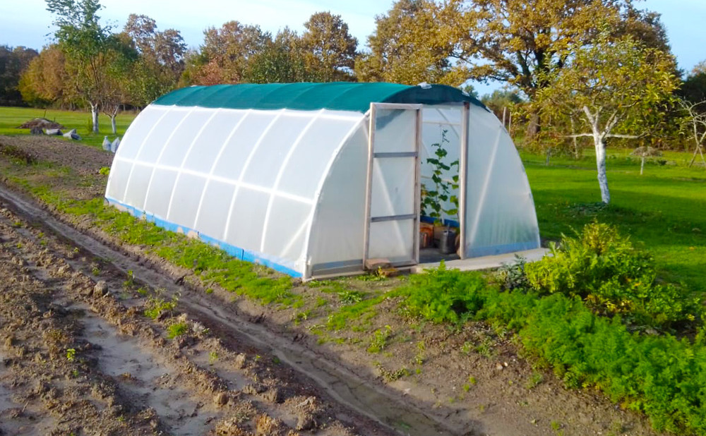 instagram-post-plastenik