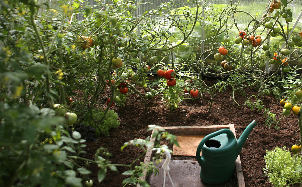 Sustavi za navodnjavanje