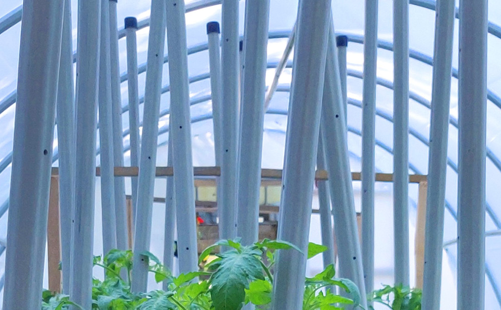 Kolci za povrće – trajno rješenje za svaku sezonu