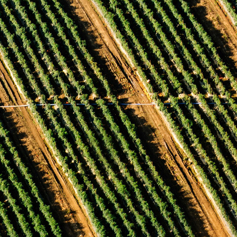 Navodnjavanje za polja
