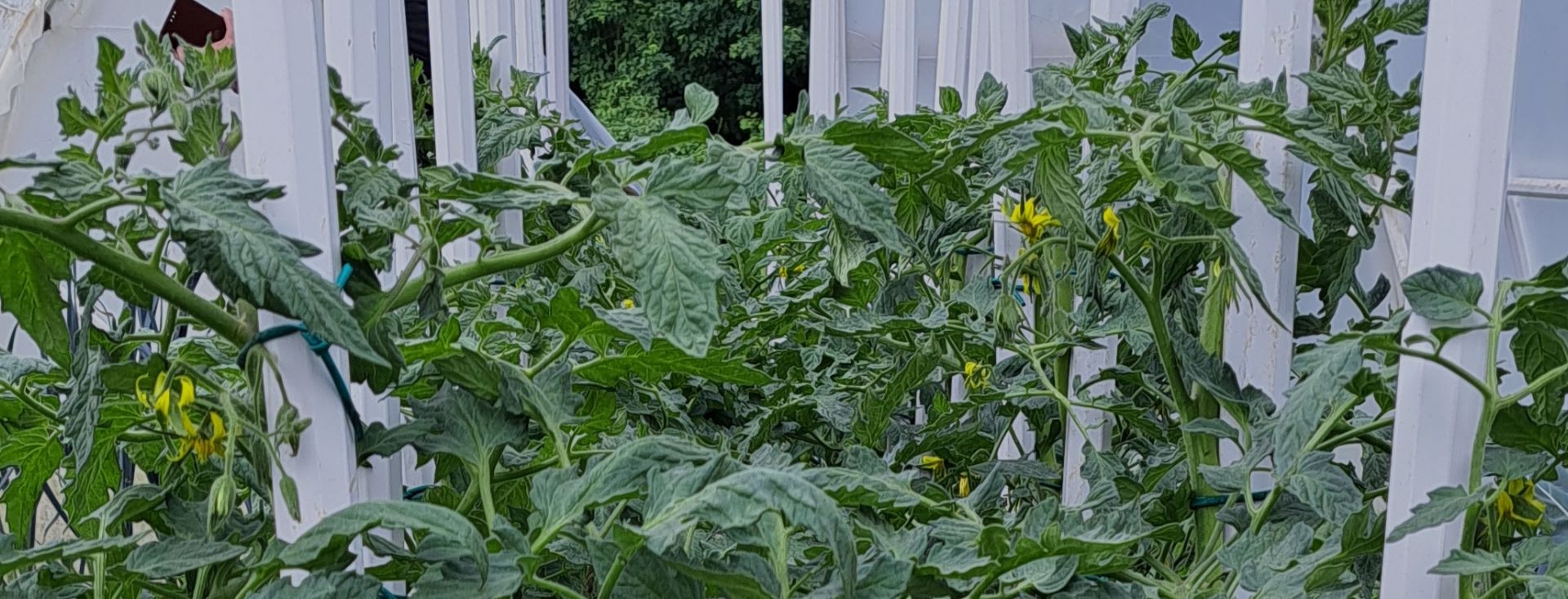 Kolci za vrt koji traju sezonama